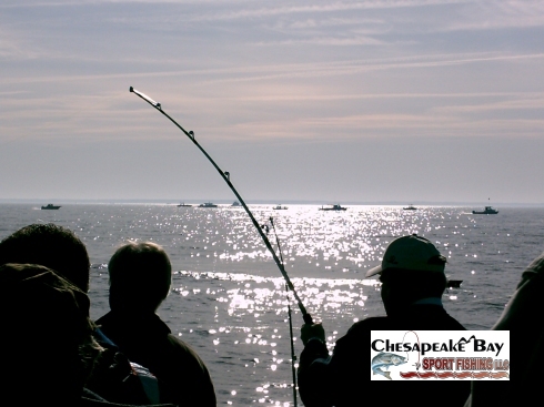 HG CRU MD Chartered Fishing