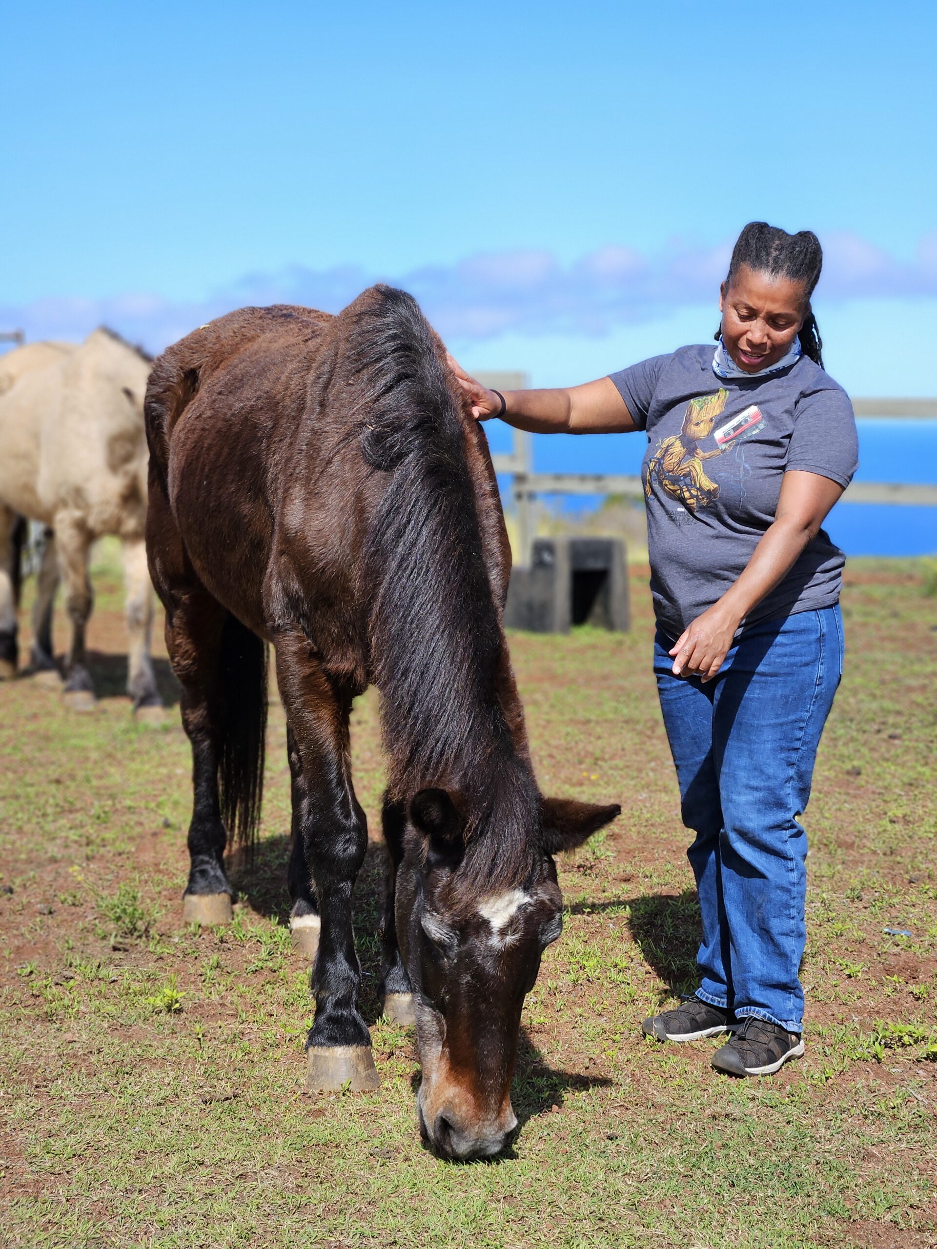 Hawaii Equine Program for Individuals