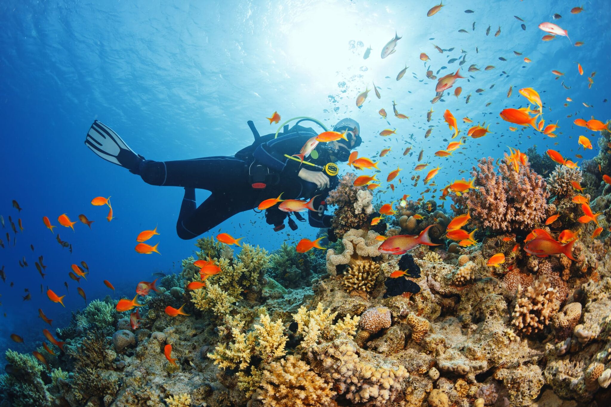 Florida Scuba for Veteran Couples